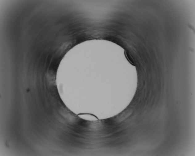 X0000096960384200803071056