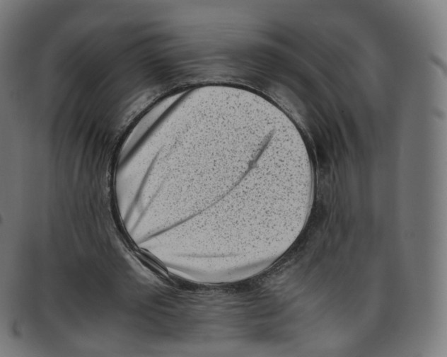 X0000096960389200803071056