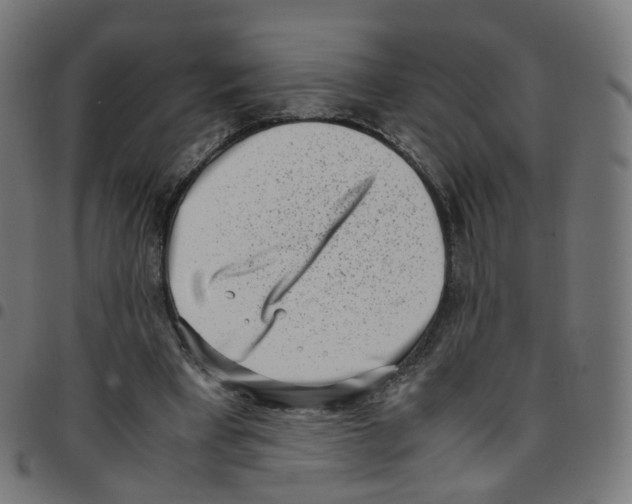 X0000096960393200803071056