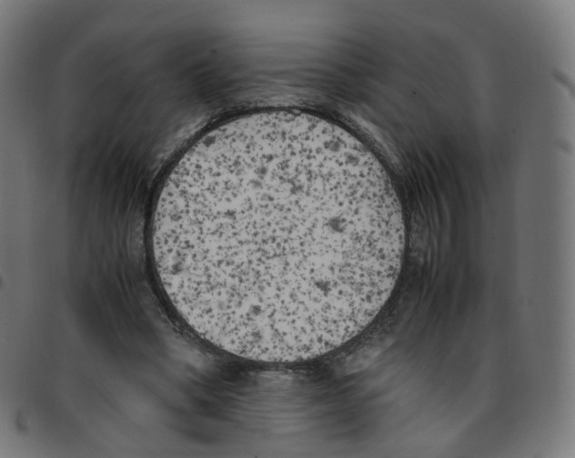 X0000096960394200803071056