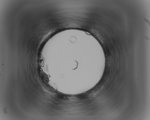 X0000096960395200803071056