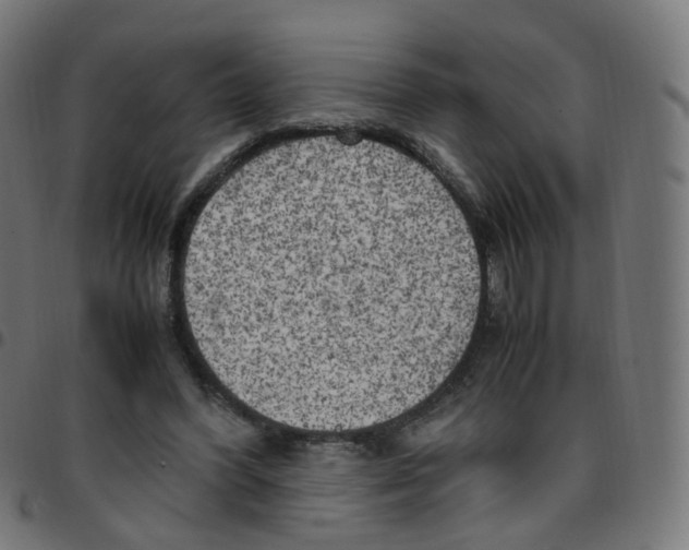 X0000096960396200803071056