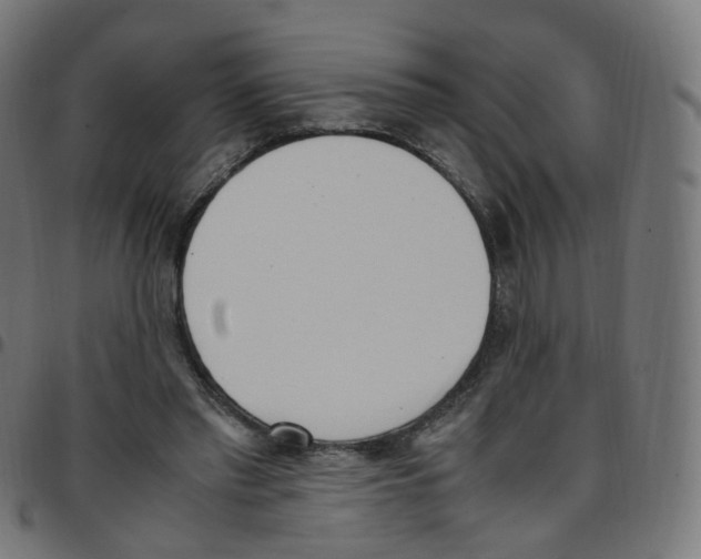 X0000096960397200803071056