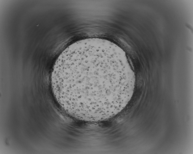 X0000096960405200803071055