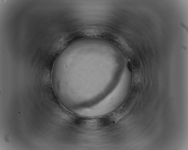 X0000096960411200803071055