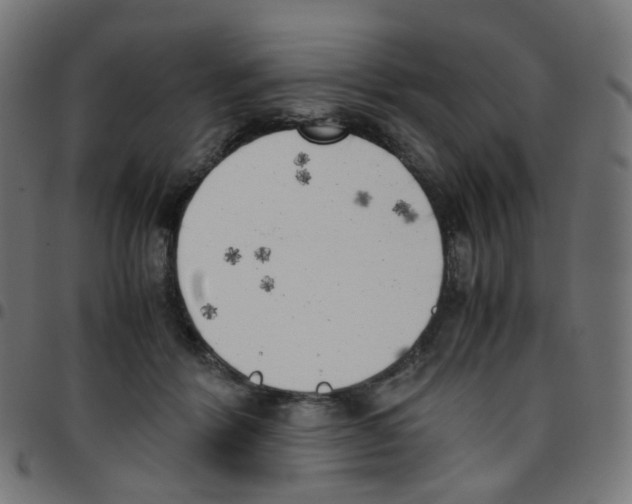 X0000096960412200803071055