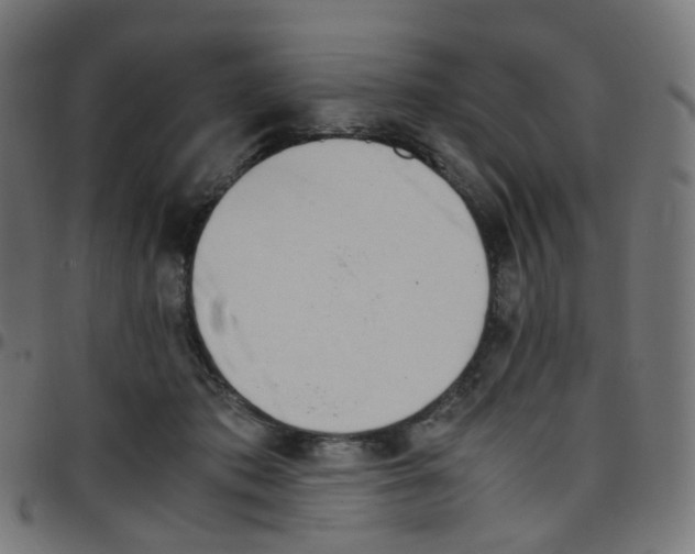 X0000096960413200803071055