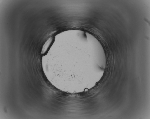 X0000096960415200803071055