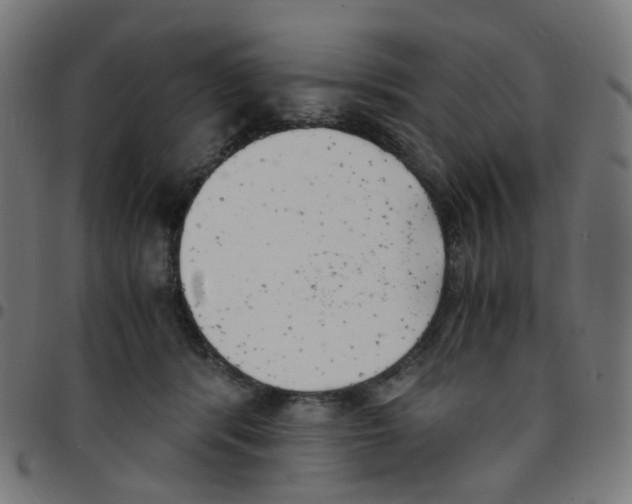 X0000096960416200803071055