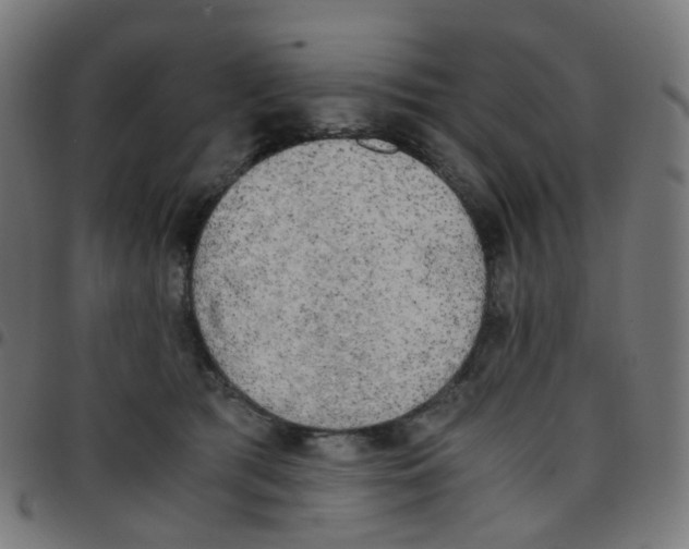 X0000096960417200803071055