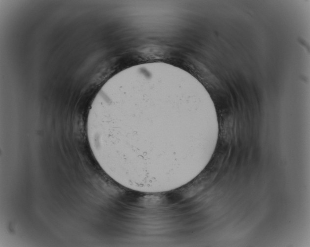 X0000096960418200803071055