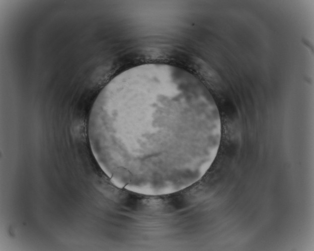 X0000096960419200803071055