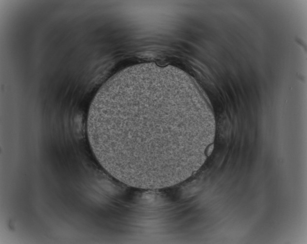 X0000096960420200803071055