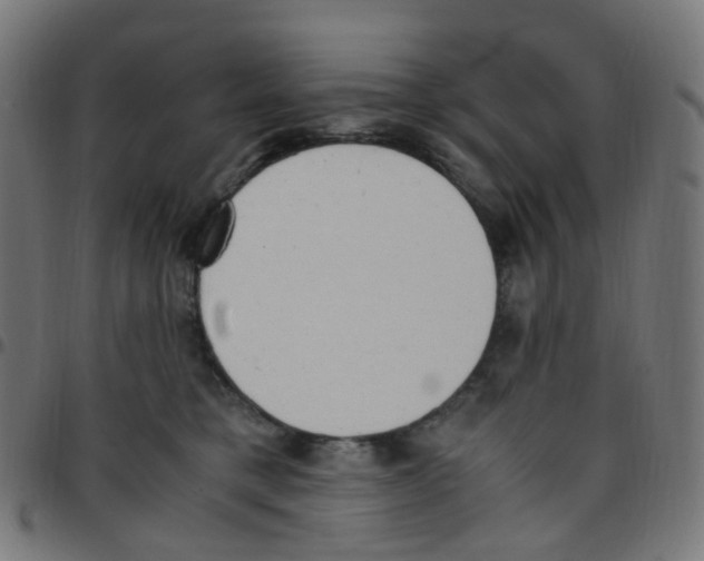 X0000096960421200803071055