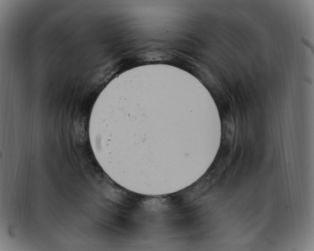 X0000096960422200803071055