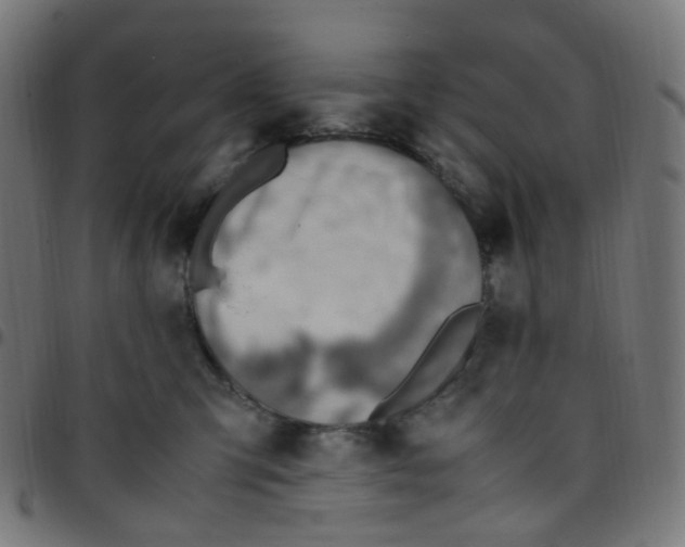 X0000096960423200803071055