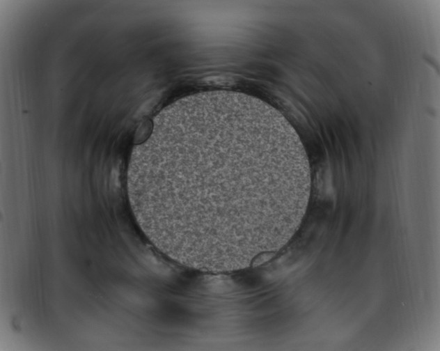 X0000096960424200803071055