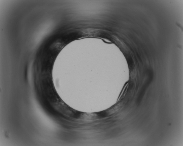 X0000096960429200803071055