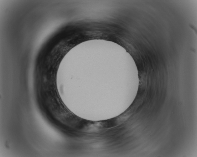 X0000096960430200803071055