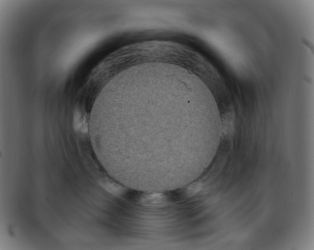 X0000096960431200803071055