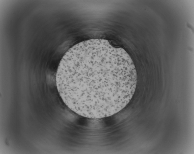 X0000096960432200803071055