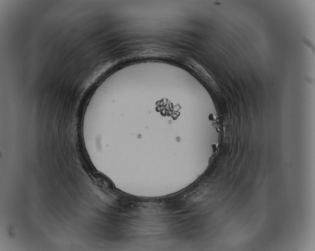 X0000096960436200803071054