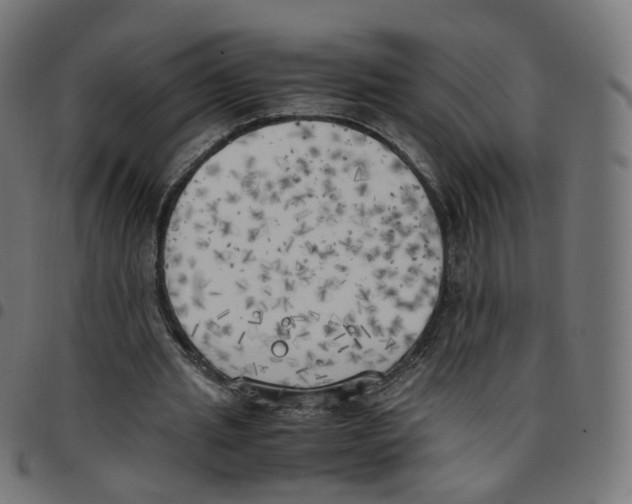 X0000096960437200803071054