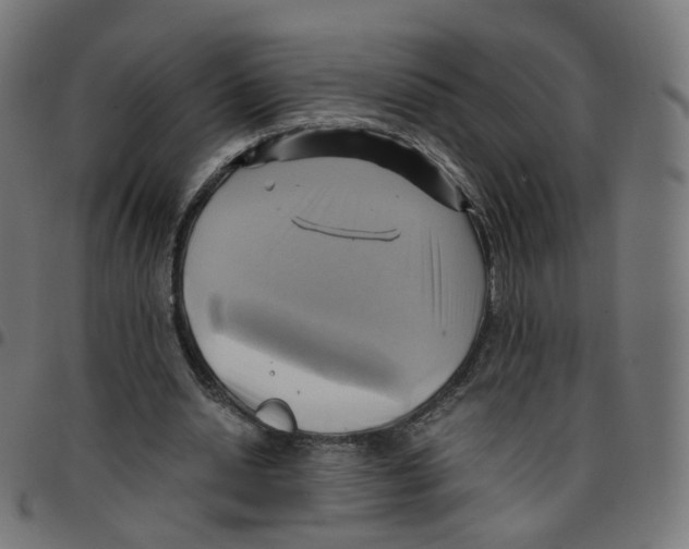 X0000096960438200803071054