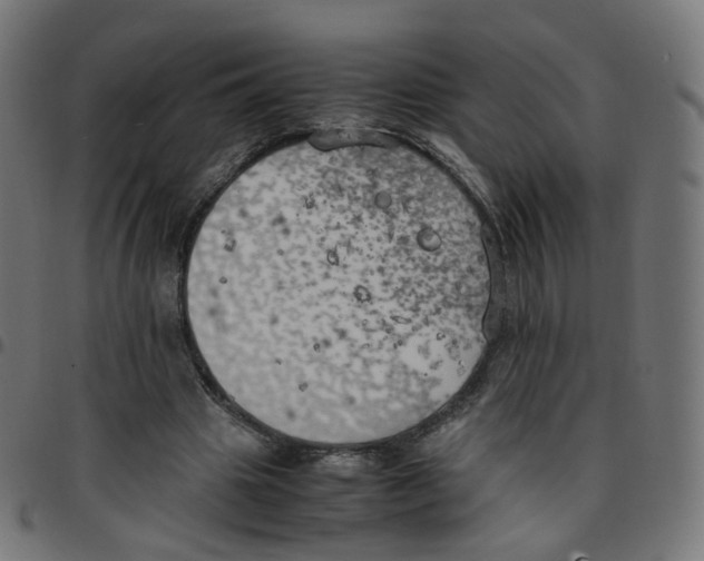 X0000096960441200803071055