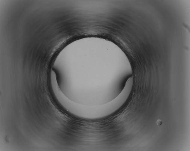 X0000096960444200803071055