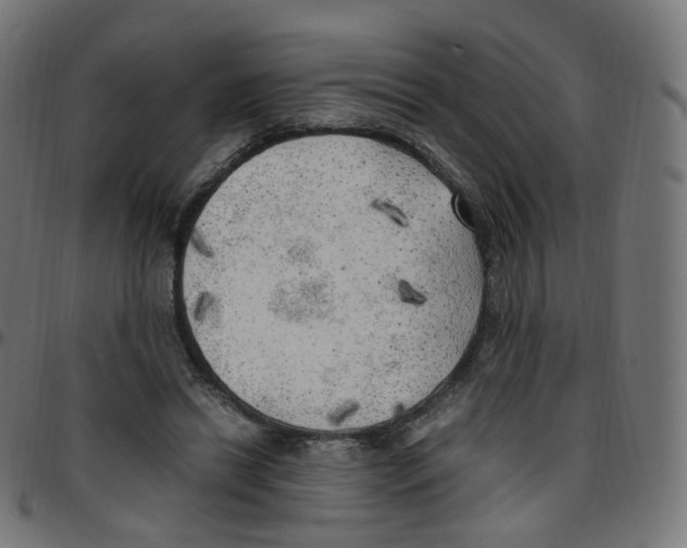 X0000096960446200803071055