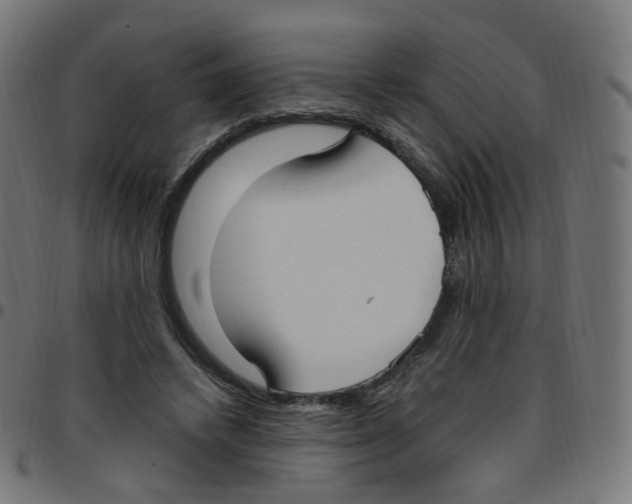 X0000096960448200803071055