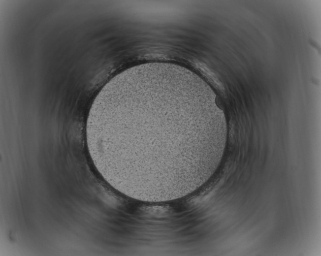 X0000096960449200803071055