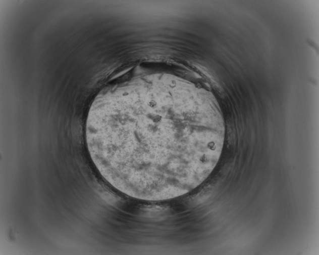 X0000096960453200803071055