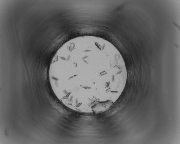 X0000096960454200803071055