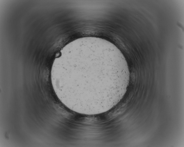 X0000096960458200803071055