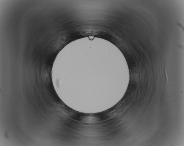 X0000096960460200803071055