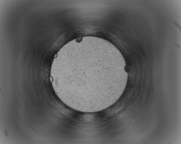 X0000096960462200803071055