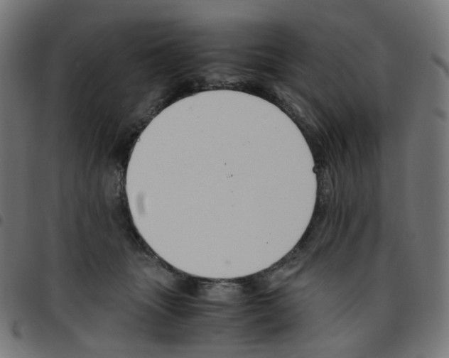 X0000096960463200803071055