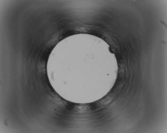 X0000096960466200803071055