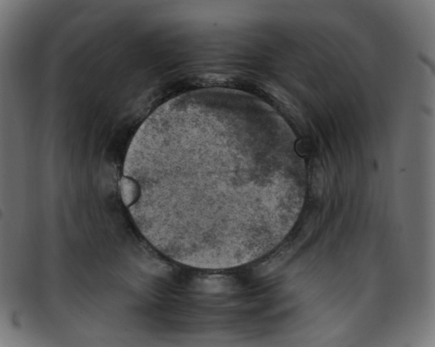 X0000096960467200803071055