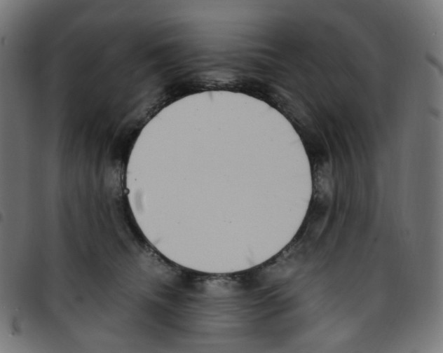 X0000096960468200803071055