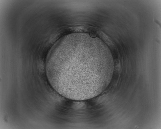 X0000096960469200803071055