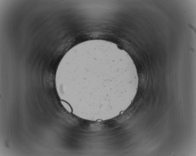 X0000096960470200803071055