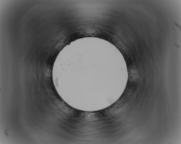 X0000096960472200803071055