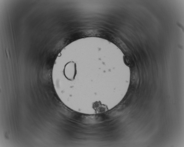 X0000096960473200803071055