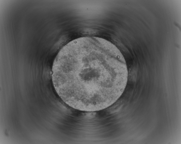 X0000096960474200803071055