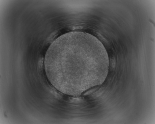 X0000096960475200803071055