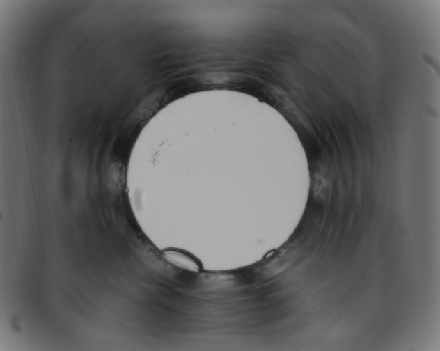 X0000096960476200803071055