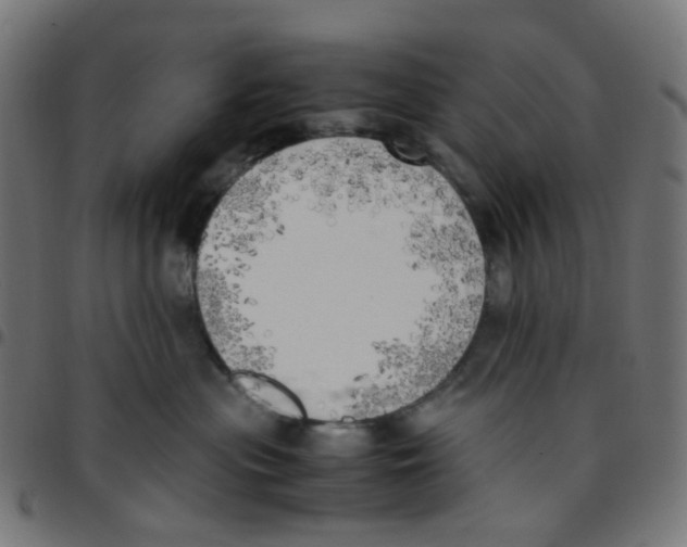 X0000096960477200803071055